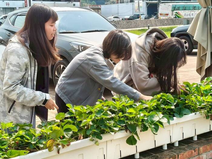 學校推廣食農教育的概念與內涵圖片