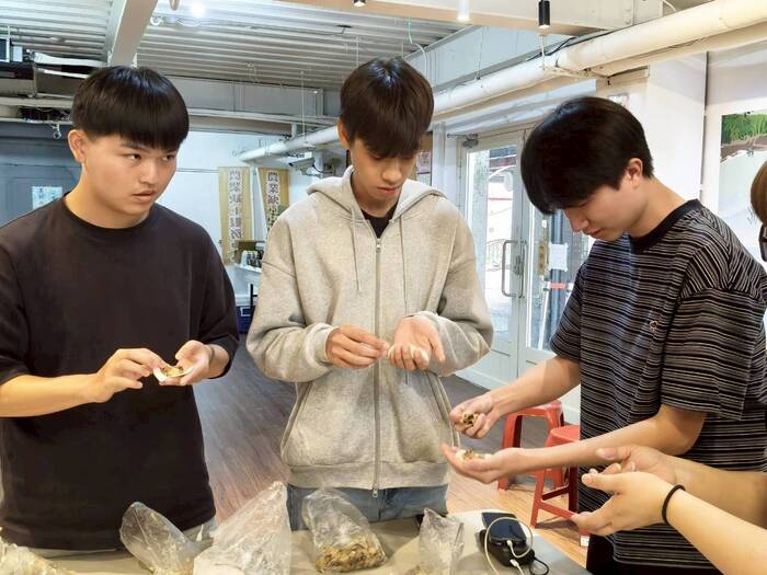 芥菜-食農教育-DIY福菜水餃圖片