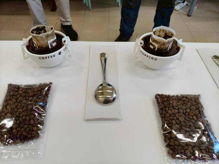 基礎咖啡烘焙-黃蜜處理法/台灣的咖啡莊園圖片