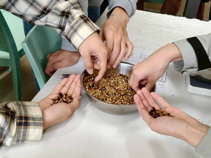 基礎咖啡烘焙-黃蜜處理法/台灣的咖啡莊園圖片