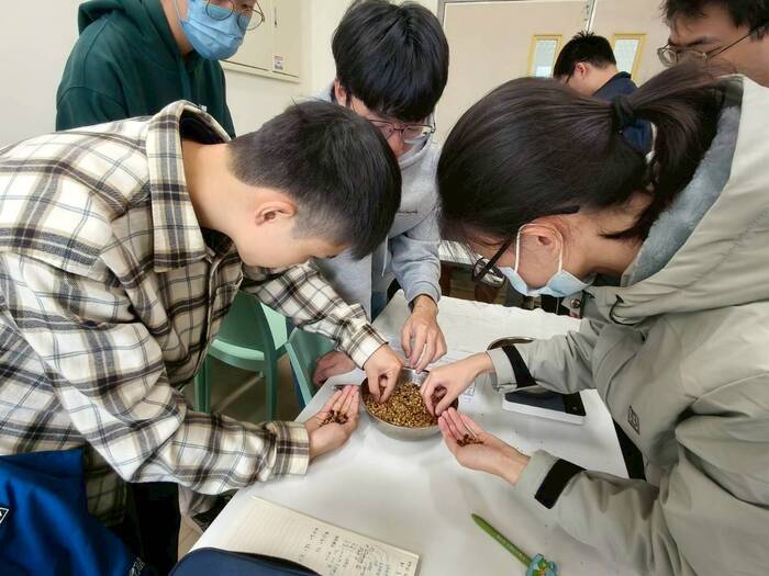 基礎咖啡烘焙-黃蜜處理法/台灣的咖啡莊園圖片