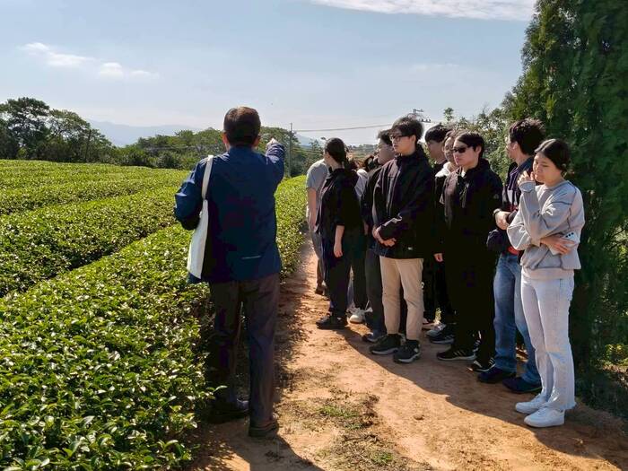 聯合八甲茶園環境永續生態探索之旅圖片
