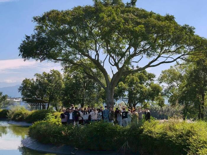 聯合八甲茶園環境永續生態探索之旅圖片