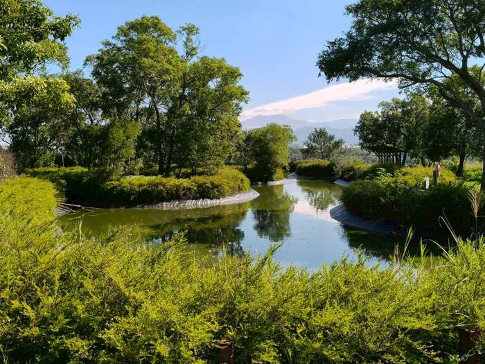 聯合八甲茶園環境永續生態探索之旅圖片