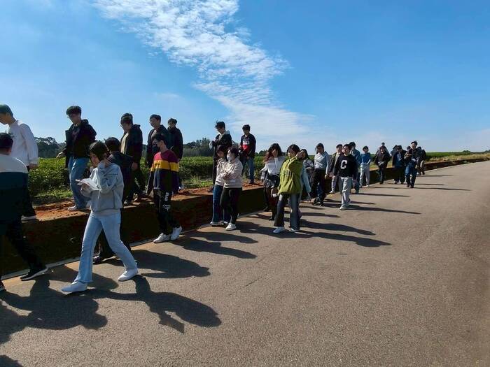 聯合八甲茶園環境永續生態探索之旅圖片