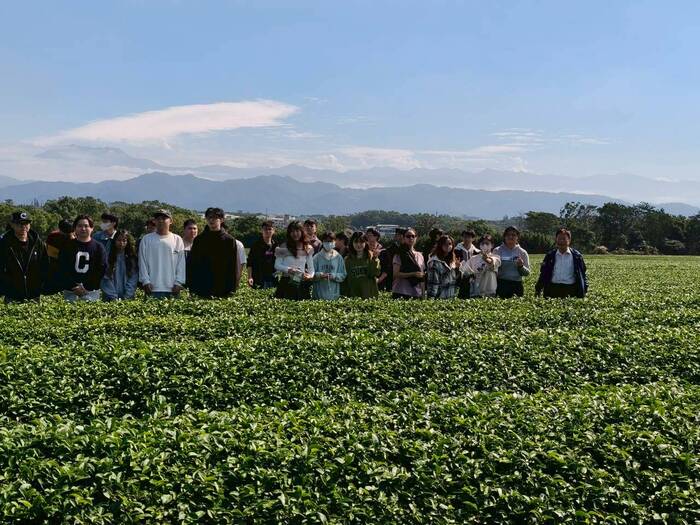 聯合八甲茶園環境永續生態探索之旅圖片