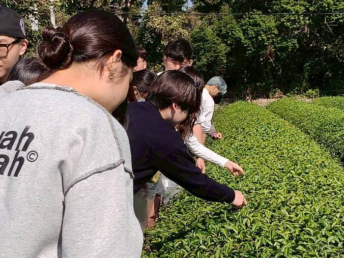 聯合八甲茶園環境永續生態探索之旅圖片
