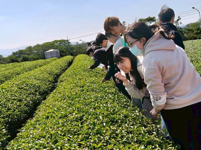 聯合八甲茶園環境永續生態探索之旅圖片
