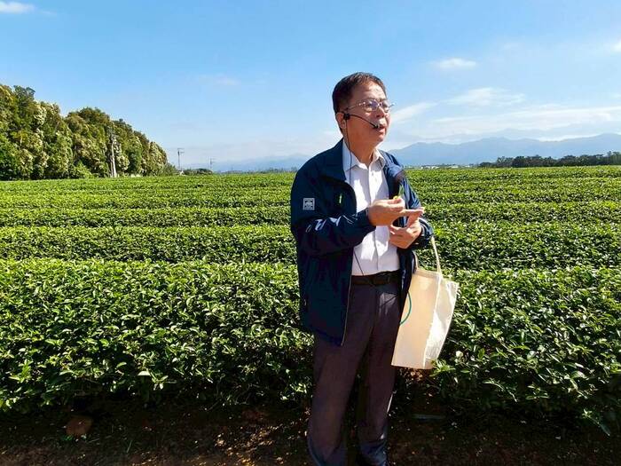 聯合八甲茶園環境永續生態探索之旅圖片