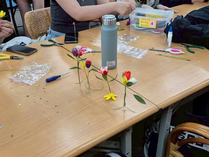 甘藷蟻象防治實務與蠶繭花DIY圖片