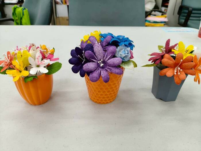 甘藷蟻象防治實務與蠶繭花DIY圖片