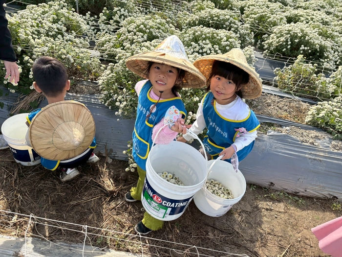 「菊香小旅人」--走讀在地杭菊文化體驗課程圖片