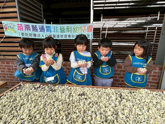 「菊香小旅人」--走讀在地杭菊文化體驗課程圖片