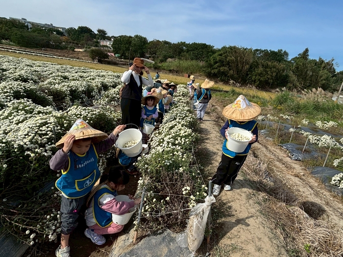 「菊香小旅人」--走讀在地杭菊文化體驗課程圖片