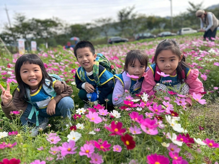 「菊香小旅人」--走讀在地杭菊文化體驗課程圖片
