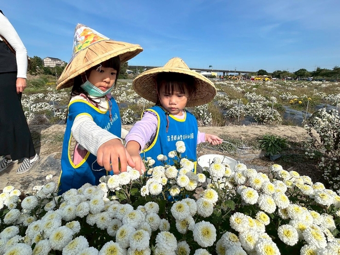 「菊香小旅人」--走讀在地杭菊文化體驗課程圖片