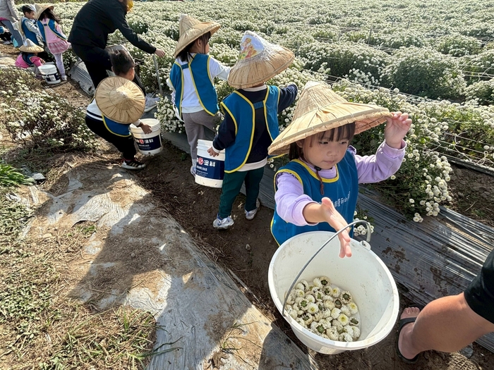 「菊香小旅人」--走讀在地杭菊文化體驗課程圖片