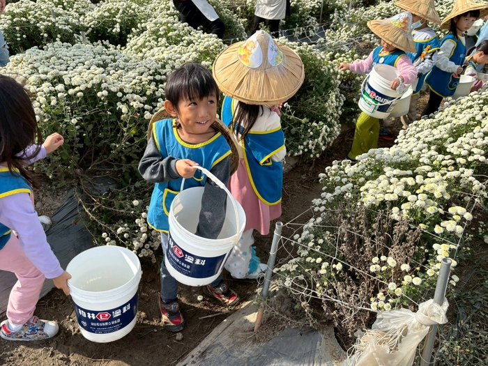 「菊香小旅人」--走讀在地杭菊文化體驗課程圖片