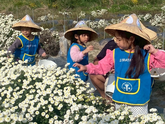 「菊香小旅人」--走讀在地杭菊文化體驗課程圖片