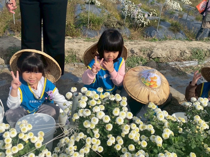「菊香小旅人」--走讀在地杭菊文化體驗課程圖片