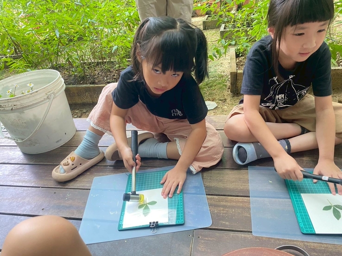 自然探索課程活動－植物敲染手作圖片