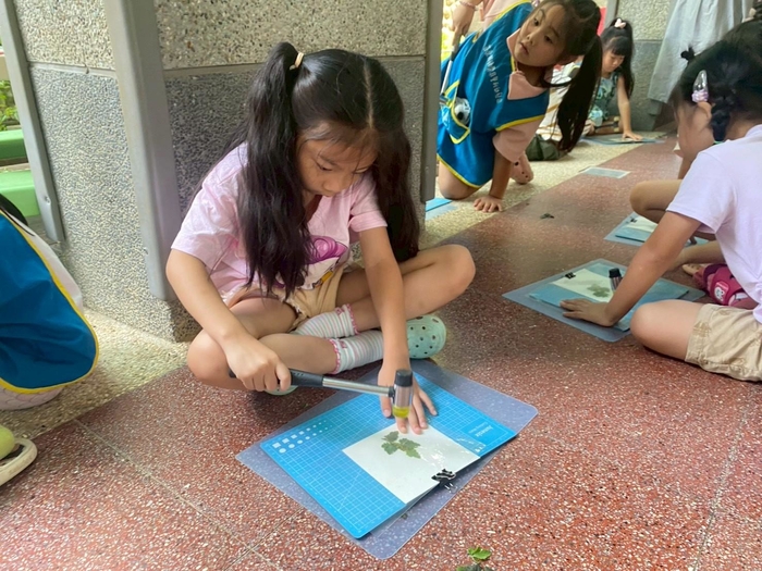 自然探索課程活動－植物敲染手作圖片