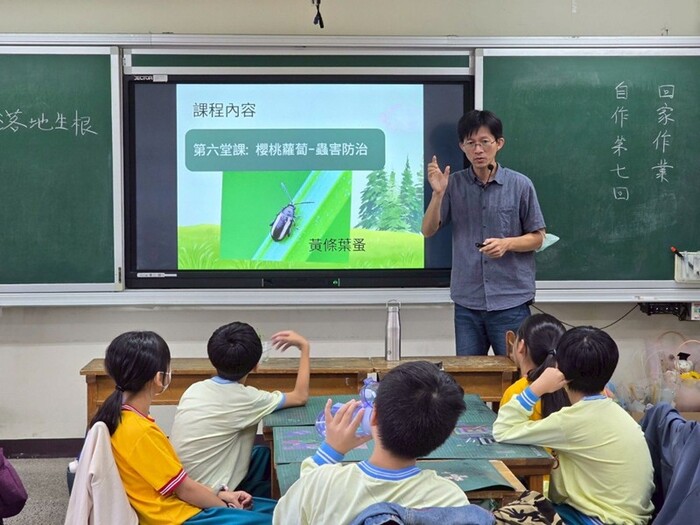 冬季是栽種蘿蔔的好季節圖片