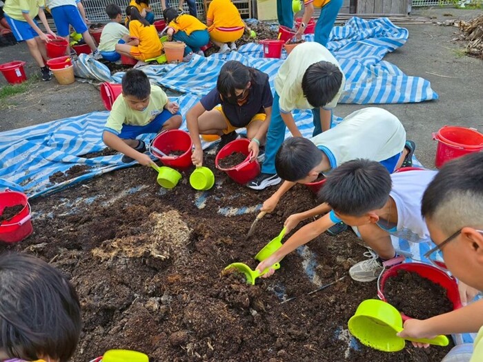 冬季是栽種蘿蔔的好季節圖片