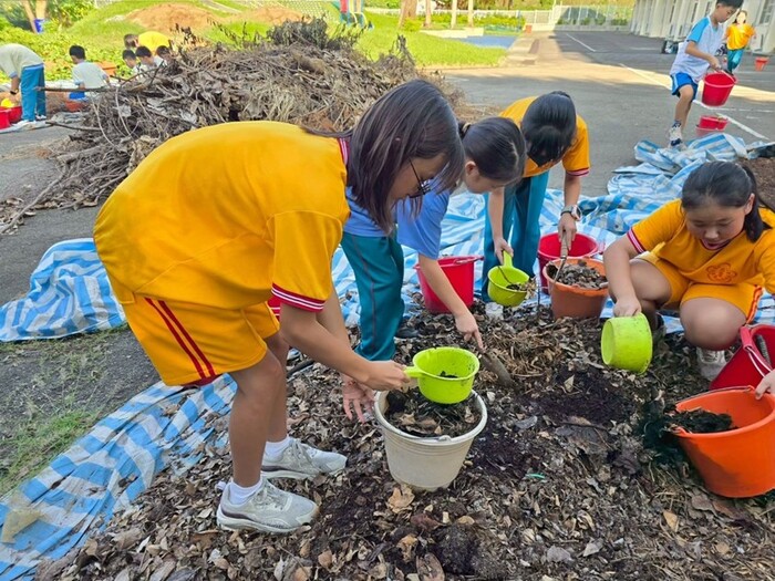 冬季是栽種蘿蔔的好季節圖片