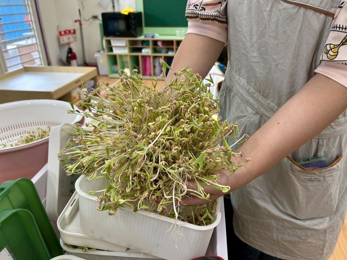 「豆豆發芽小廚房」——種豆‧觀察‧品嚐的奇妙旅程圖片