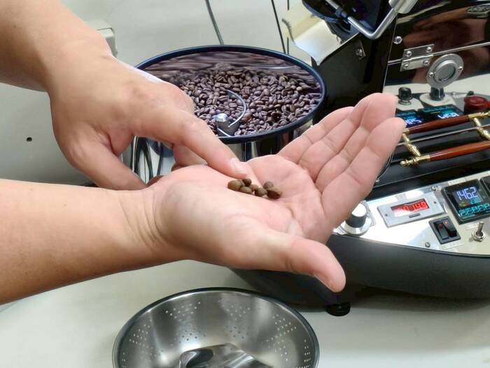 基礎咖啡烘焙-黃蜜處理法/食農教育圖片