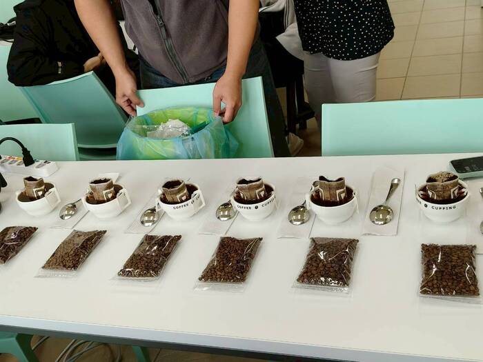 基礎咖啡烘焙-黃蜜處理法/食農教育圖片