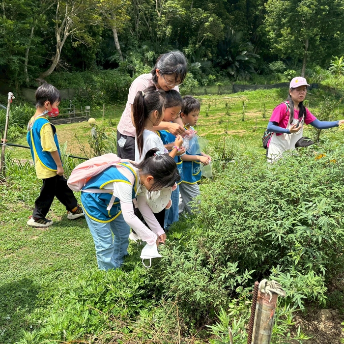 漣海有機農場自然探索暨栽種體驗活動圖片