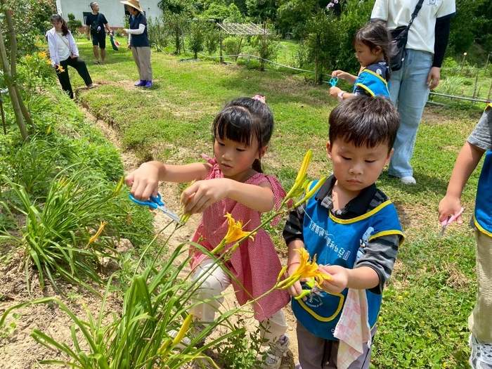 漣海有機農場自然探索暨栽種體驗活動圖片
