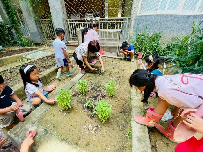 食農教育-「蔥蔥樂園小廚師」——蔥香滿園種植趣圖片