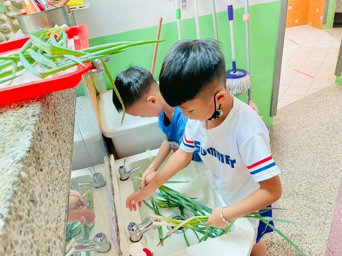 食農教育-「蔥蔥樂園小廚師」——蔥香滿園種植趣圖片