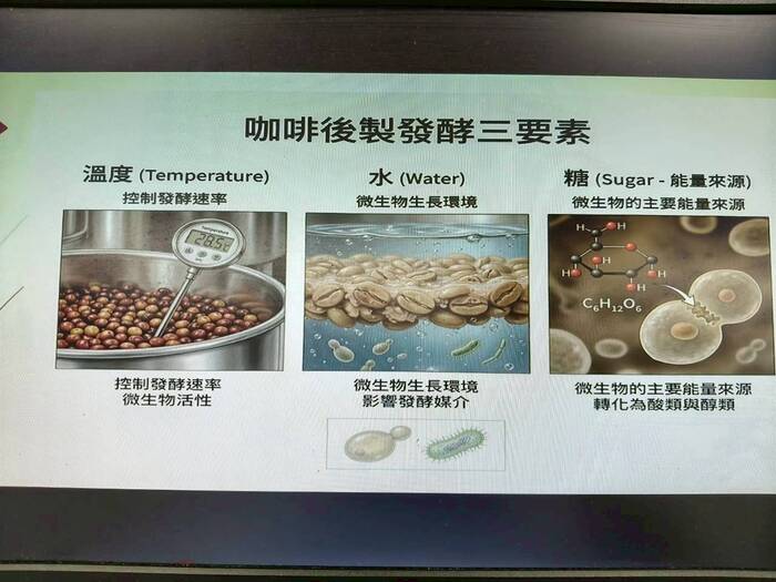 咖啡的基本知識圖片