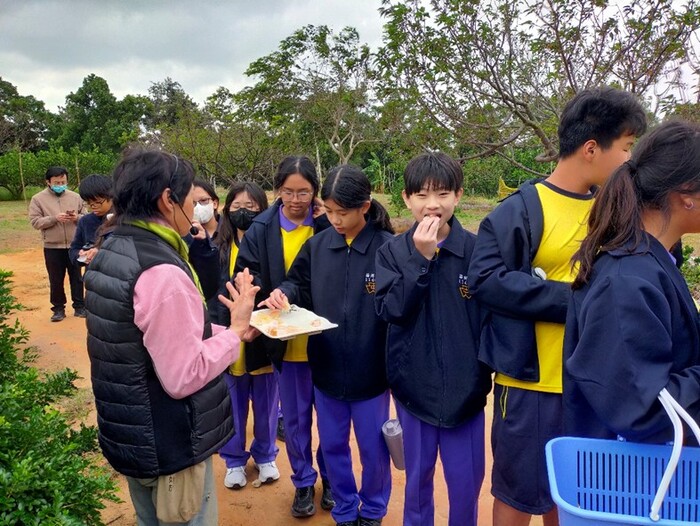 友善耕作柑桔類園區-淺森林農場圖片