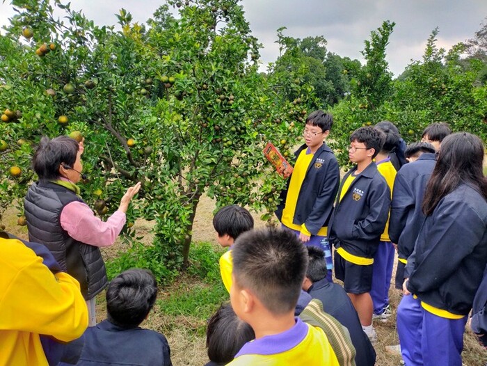 友善耕作柑桔類園區-淺森林農場圖片