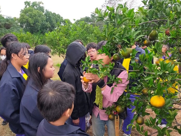 友善耕作柑桔類園區-淺森林農場圖片