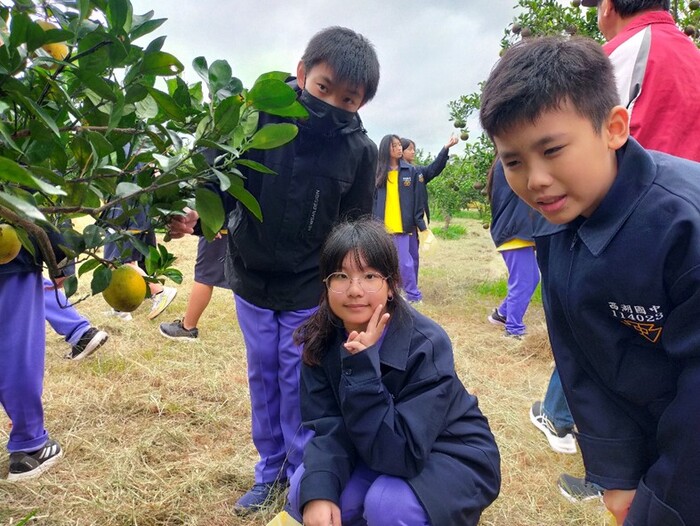 友善耕作柑桔類園區-淺森林農場圖片