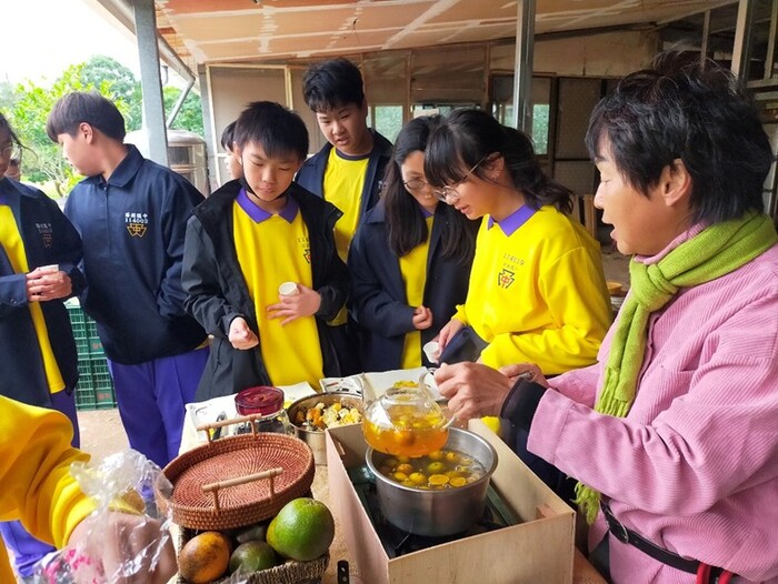 友善耕作柑桔類園區-淺森林農場圖片