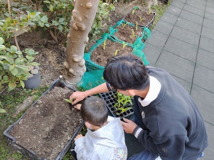 種植活動圖片